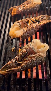 Florida lobster with my Carolina Pit Powder rub and butter — what are YOU seasoning these with? | Steven Raichlen