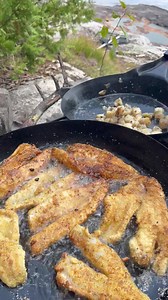 27 reactions · 3 comments | Manotak Lodge | All Canada Show | Facebook