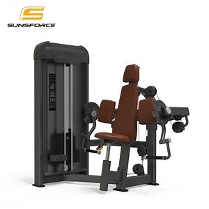 [Hot Item] Commercial Strength Machine Gym Arm Curl Fitness Equipment