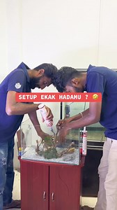 Instant glue for aquascaping ! | Royal Aquarium & Pet Accessories