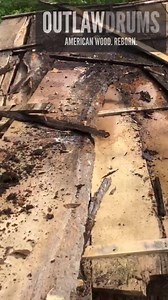 Spalted Poplar wood (saved) | Outlaw Drums
