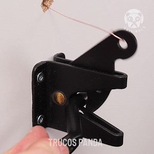 Un libro que abre puertas secretas | Escuela Panda