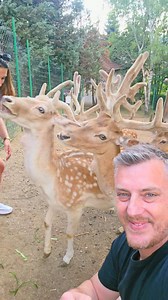 Spasen Siljanoski on Reels