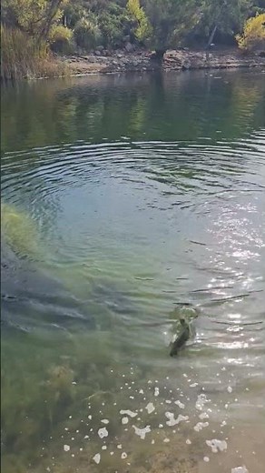 Spanking Lake Poway!