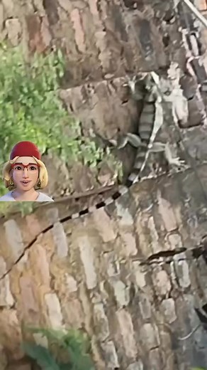 Vez em quando essa figura aparece por aqui 😆🫢😲 | Lucy Luh Vasconcelos Vasconcellos