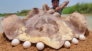 Dream Big Monster Fishing By Fisherman. Top 10 Amazing Underground Stuck Fish Catching #fish_video | Only Fishing