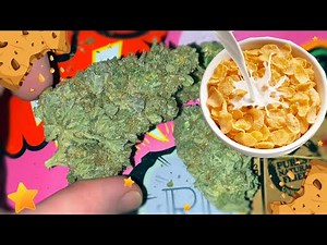 Cereal Milk Strain Review