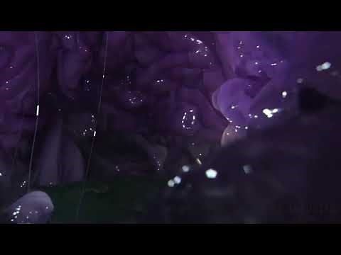 (Vore) Alien Stomach