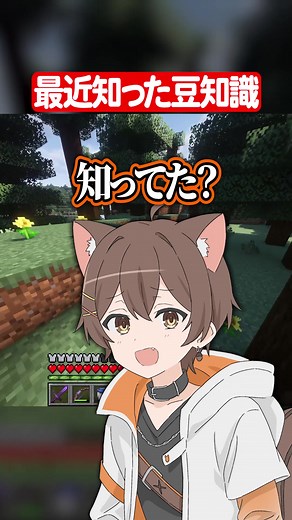 マイクラ豆知識まとめ｜リスくん配信の面白トリビア