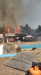 #IncendioForestal Además de la comuna de Ranquil, La ciudad de Chillán se suma Coelemu en el sur de nuestro país. Un incendio forestal siempre se puede evitar y todo parte por ti. #SENAPREDInforma Por incendio forestal SENAPRED se solicita evacuar la población René Schneider, comuna de #Coelemu, Región de Ñuble. #SENAPRED activó mensajería SAE. #NoticiaEnDesarrollo | Radio Pasión FM