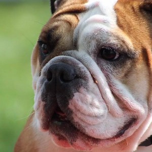 ACIM Lesson 95 & Meditation https://youtu.be/BSTOw9rN098 #acim #acimlesson95 #acimworkbook #acourseinmiracles #Love #happiness #forgiveness #meditation | ACIM Read With Me