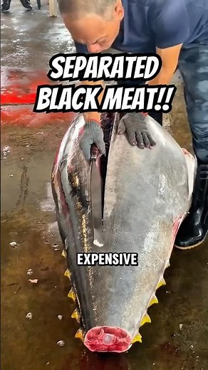 Why Is the Black Meat Separated from Tuna?