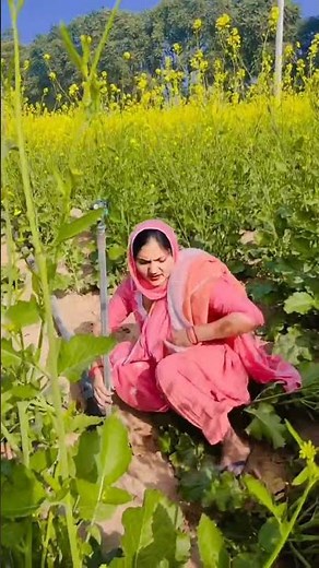 #farminglife ..🌾🤗