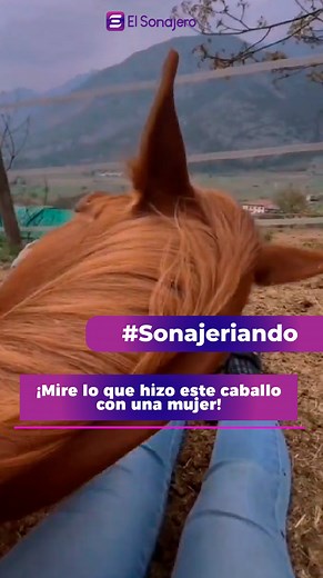 ¡Mire lo que hizo este caballo con una mujer! Un video se volvió viral por la reacción de un caballo, se acostó literal para ser consentido por una mujer. En las imágenes se observa como el mamífero con su grande cuerpo, se deja caer al suelo y muy delicadamente se va recostado de a poco sobre las piernas de una mujer, el curioso y tierno momento quedó registrado despertando todo tipo de reacciones en las redes. . . . . . . . . #video #viral #viralvideo #v#viralreels | El Sonajero