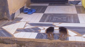 18K reactions · 59 shares | The last kiss episode 44 | Nongwa Nasib | Facebook