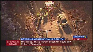 Victim identified in deadly car crash on Route 217