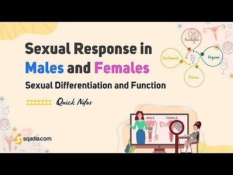 Sexual Differentiation and Function | Sexual Response in Males and Females | Endocrine Physiology