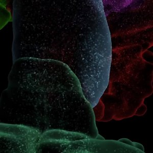 36K views · 1K reactions | The first digital 3D atlas of every cell...