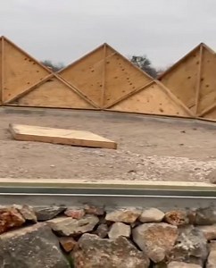 Trillium Domes on Reels