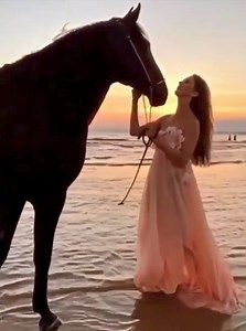 DERTLİYİM EFKARLIYIM KİMSE BİLMEZ HALİMİ | Müzik Şöleni