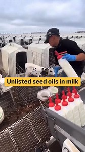 Most supermarket milk, including brands like a2, contains hidden seed oils not listed on the label. This is often due to the vitamin D fortification process, where synthetic vitamins are added using industrial “vitamin packets” that require carrier oils. These packets often contain chemicals like propylene glycol and Polysorbate 80, which are used to stabilize the vitamins in the milk. Vitamin D fortification became common in the 1930s as a way to combat rickets, but it also replaced natural sou