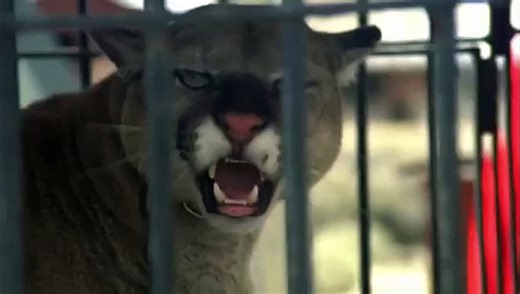 Barn of the Naked Dead (aka Terror Circus) -1973