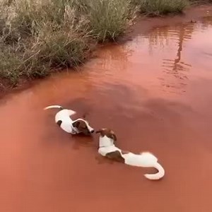 44K views · 1.4K reactions | At Mount Isa, Qld, 84 mm of rain fell on...