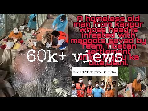 A homeless old man whose head was infested with maggots SAVED by TibetanSettlementOfficeMajnukatilla