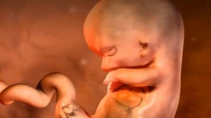 What happens during pregnancy weeks 12? #Pregnancy #Baby #Childbirth | Pregnant Life