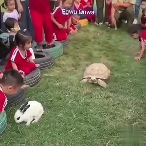 1.3K views · 18 reactions | Oke-oyibo, the Hare decided to engage Mbe Nwaniga, the Tortoise in 100 meters senior boys race. Straight after the wistle the Hare took off and started leading but suddenly he stopped and and started enjoy the cheering by the crowd and the Tortoise came in from behind and won the race. Moral of the story.... Uwa mgbede ka mma. | Igbo Dị Ụsọ Media | Facebook