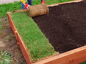 3.6M views · 10K reactions | 5 Minuti Creativi on Reels | Facebook