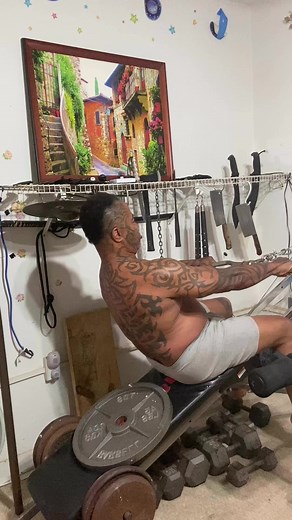 In my four corner room | Shin Shin