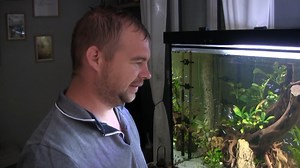 J'ai eu le plaisir de découvrir l'aquarium de discus d'Alexis ! 😍 Un aquarium de 220 sur 80 cm 1232 litres Une belle découverte et un plaisir de découvrir la passion des discus ! #aquarium #aquariophilie #discus #discusfish #discustank | Seb l'aquariophile