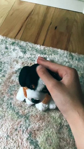 Making a Cozy Bed for Harley