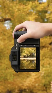 178K views · 4.7K reactions | Celebrate the beauty of autumn in all its glory—capture each and every leaf in stunning 100MP resolution. With Hasselblad's Natural Colour Science, capture every subtle variation in hue, bringing you results that mirror the authentic richness of nature as seen by the naked eye. Captured by Kinoko with the X2D 100C and 3,4/75P. | Hasselblad | Facebook