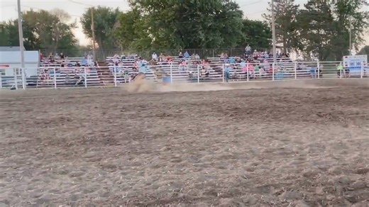 2.9K views · 31 reactions | 朗JS Sheza Fast Chick朗 "Chic" is a...