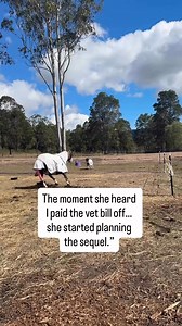 11K views · 184 reactions | Like clockwork 路‍♀️ #horses | Horse and Soul Motivation | Facebook