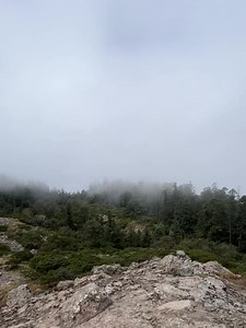 COMAC Consultores Empresariales Servicios Legales on Reels