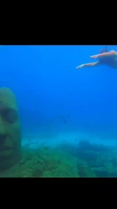 15K views · 15 reactions | STAGE NATATION EAU LIBRE DE SEABIKE...