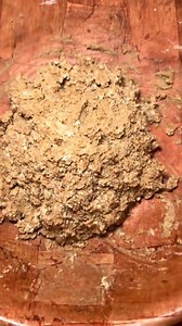 2.7K views · 55 reactions | reposting some of my favorite holiday recipes tiramisu poppers fyp foryou foryoupage holiday | Rita Cucina Italiana | Facebook