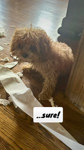 Rustic Road Farm on Reels