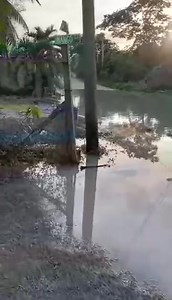 Santa Rita residence Corozal Town under water, garbage , mosquitoes, pestilence all about causing sickness to our children and the present Pup doing nada ,nothing but just sitting on their asses and collecting Tax payers money, this crowd must go , time for a change, the time is Now, March 6,2024 ,VOTE DEM OUT..VOTE FOR TEAM RICARDO RICK AKE AND THE UDP 7..UDP. | Associated Belize Press | Facebook