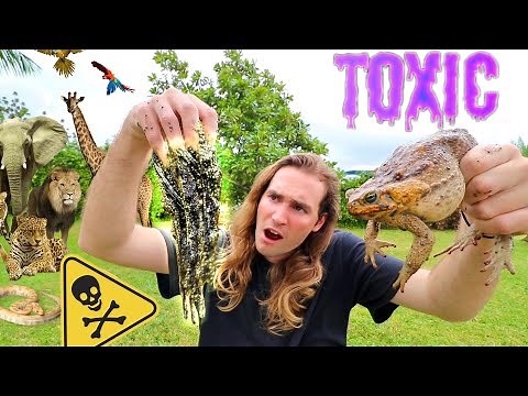 THOUSANDS OF TOXIC TOADS INVADE OUR ZOO ! CAN WE STOP THEM ?!
