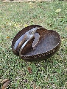 Coco De Mer Nut Bowl - Etsy Canada