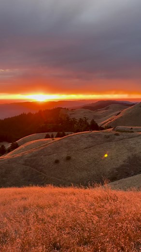 47K views · 3.6K reactions | Gorgeous sunset views from Mt. Tam tonight! #california #sunset #nature | Dan Kurtzman Photography | Facebook