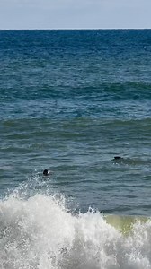 16K views · 685 reactions | Coast Guard Beach - Eastham, Massachusetts Cape Cod | Cape Cod, Massachusetts | Facebook