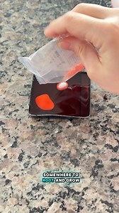 Testing out how crystals grow on rose quartz | Growithjessie