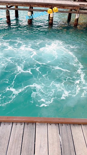 Maldives 🫠🫠 | ICT Heaven