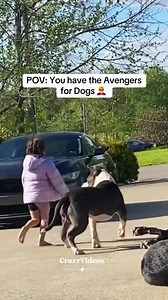 Princess is the epitome of Alpha 🗿 | Crazy Videos