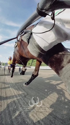 Nothing prettier than a trotter in full stride…😍😍😍#harnessracing #horse #horses #horsesoftiktok #horsesontiktok #standardbred #horseracing #insta360go3 #chrisgoodenvisuals | Chris Gooden Visuals